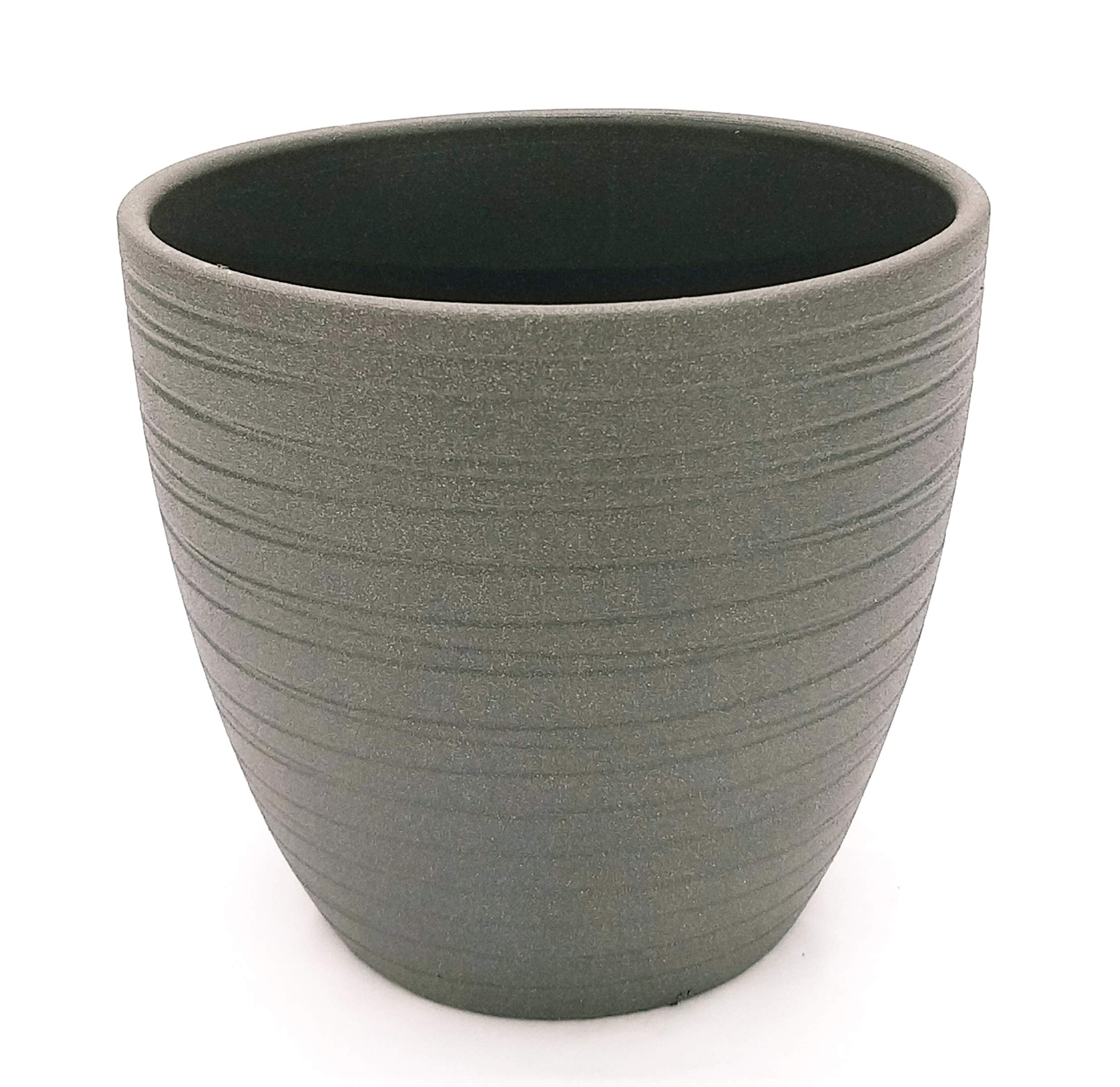 POWERS TO FLOWERS - PLUMERIA FRANGIPANI BIANCA, IN VASO CERAMICA ANTRACITE A RIGHE, altezza 45/50cm, pianta vera