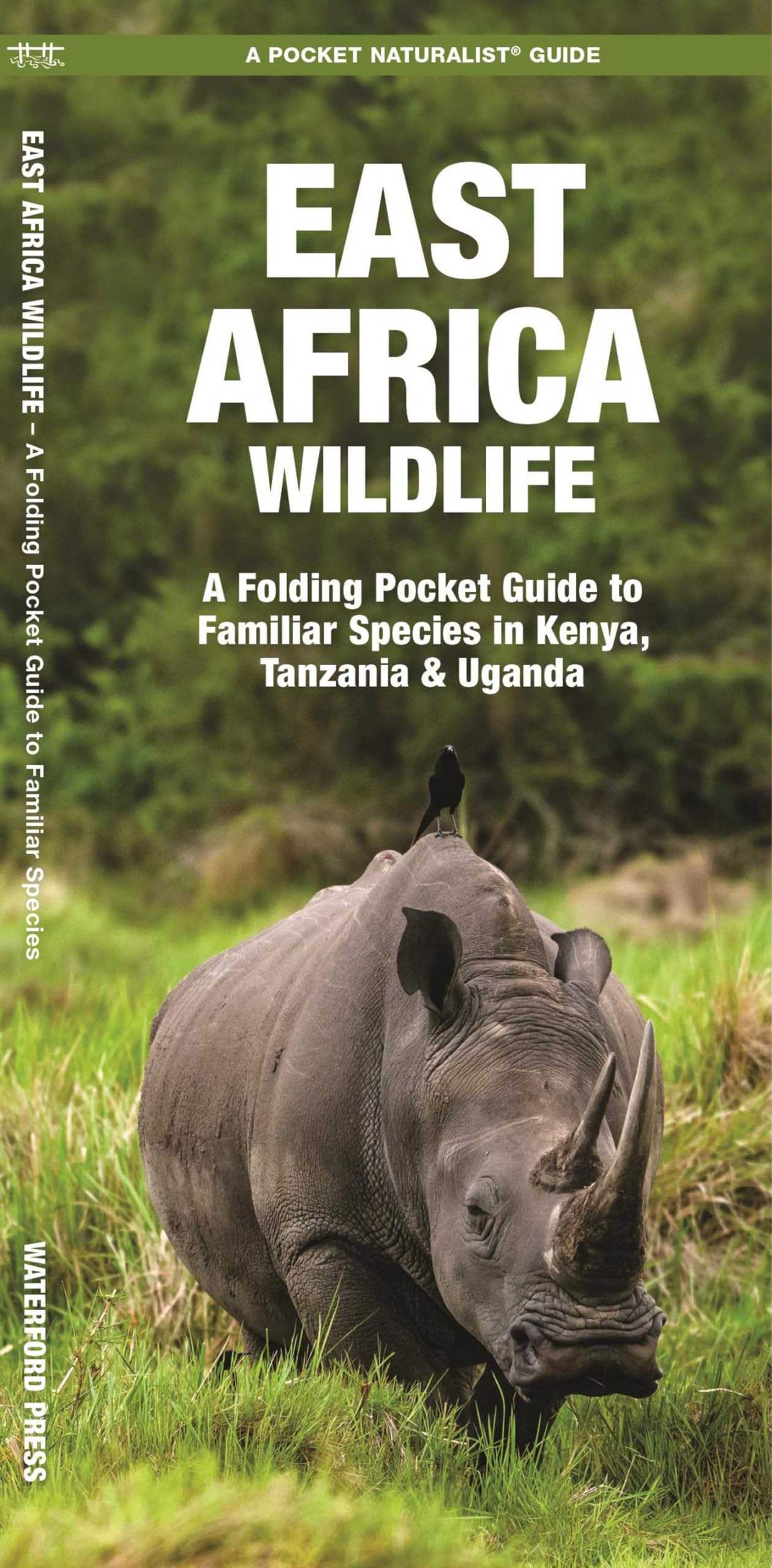 East Africa Wildlife: A Folding Pocket Guide to Familiar Species in Kenya, Tanzania & Uganda (A Pocket Naturalist Guide) (Nature Observation International)