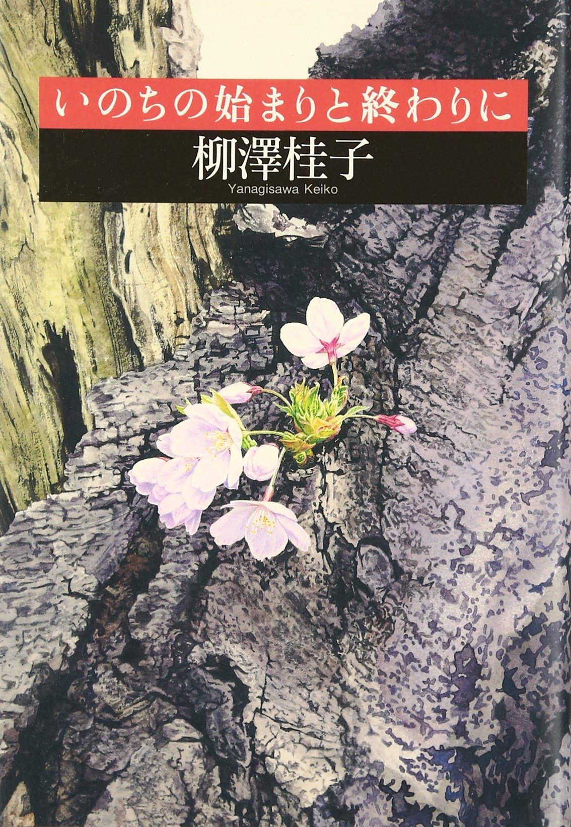 Amazon.co.jp: いのちの始まりと終わりに : 柳澤 桂子: 本