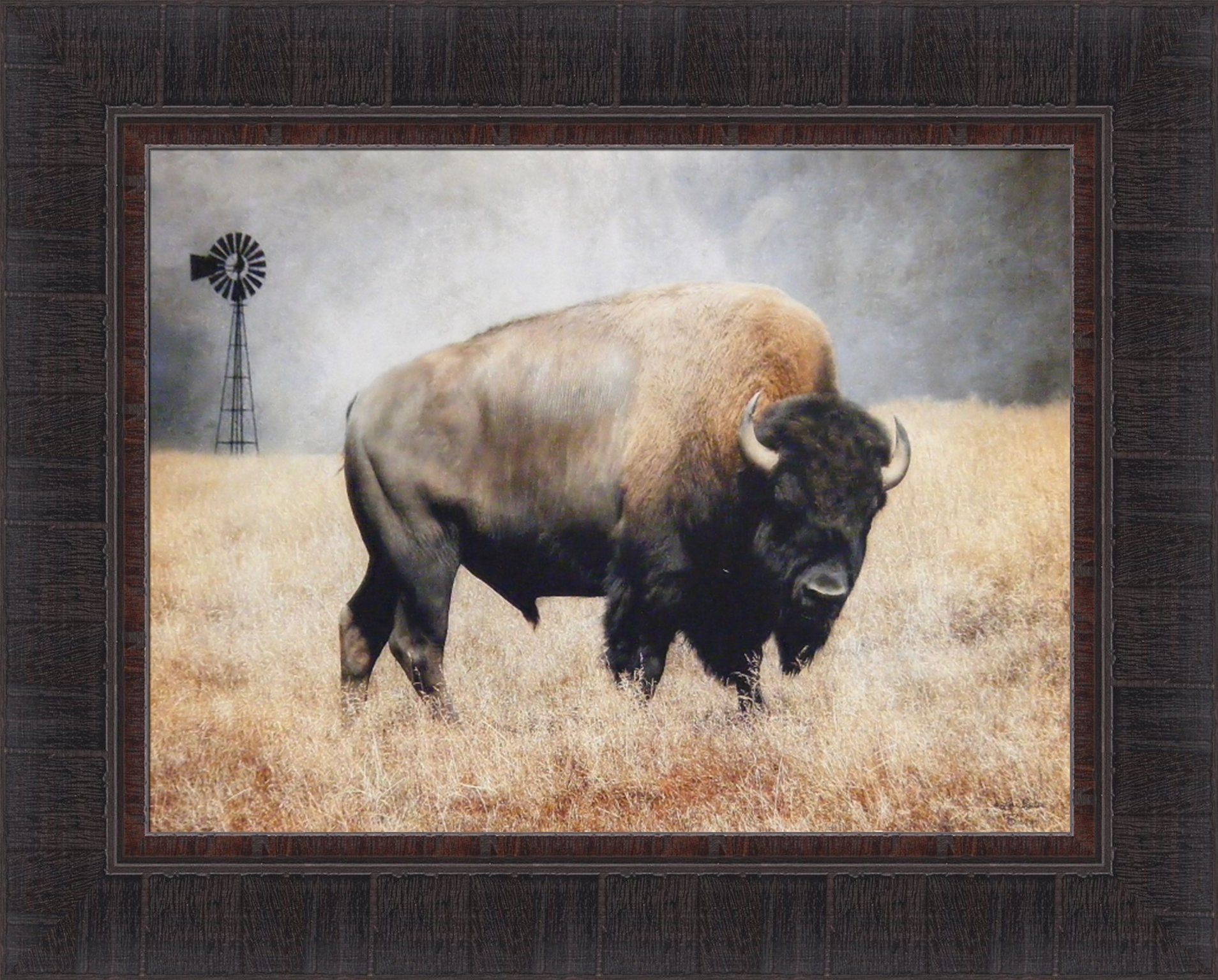 Amazon.com: Home Cabin Décor The Bison by Lori Deiter 17x21 Framed