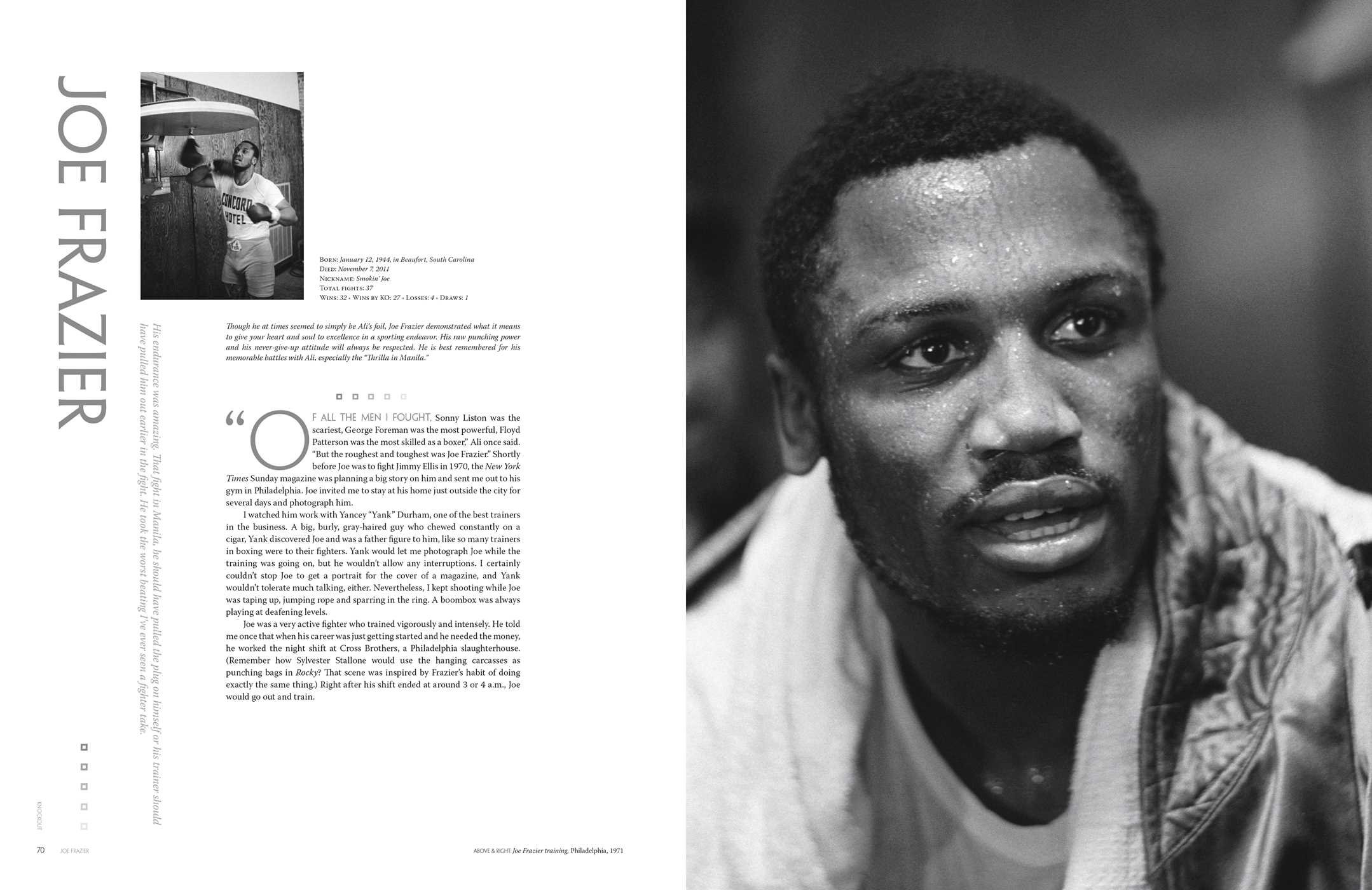 Knockout: The Art of Boxing