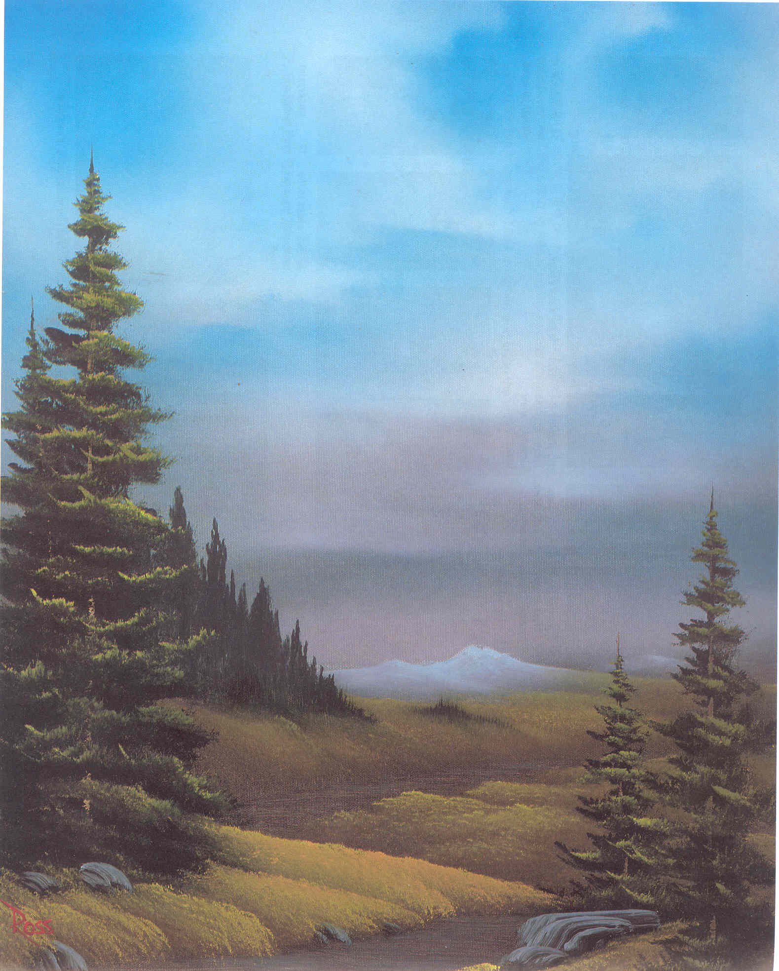 海外輸入盤　Bob Ross Joy of Painting Series Amazon.com: Bob Ross the Joy of Painting: Summer Collection