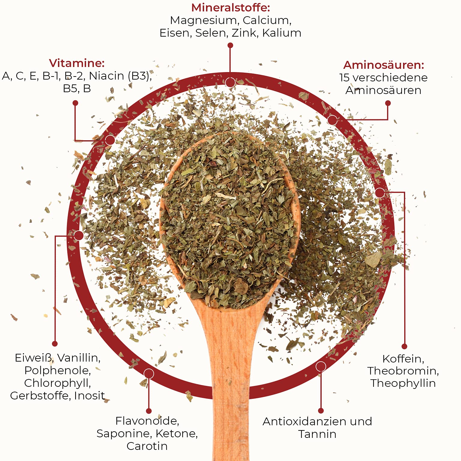 Taragui Yerba Maté Traditionnel 5 kg (10x 500g)- Le temps de vieillissement est de 12 mois - Yerba Maté Argentine