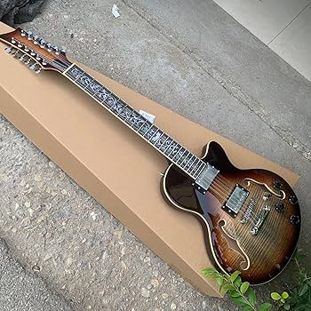 Amazon | セミホロウボディ 12弦 Fホール エレキギター