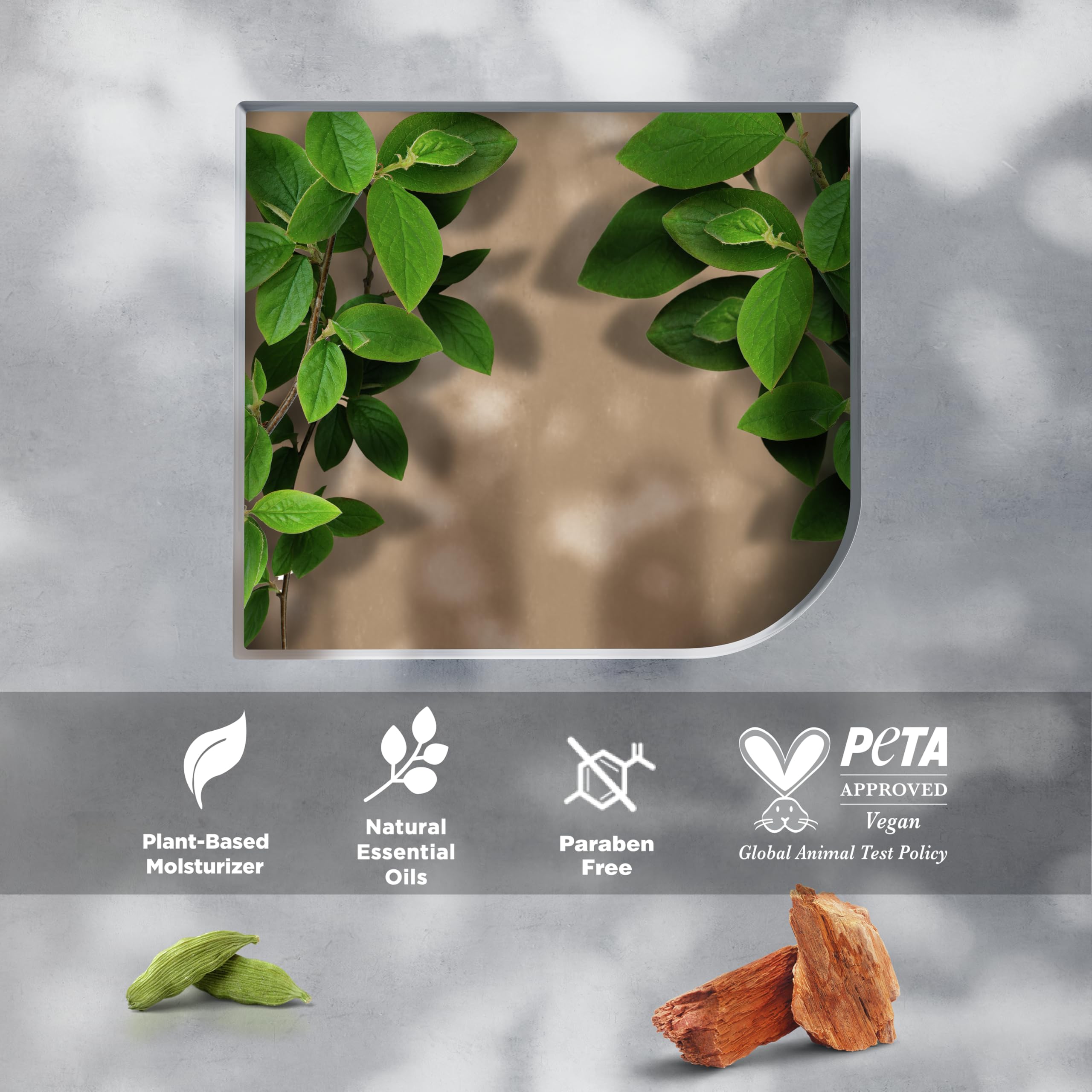 Dove Men+Care - Desodorante estimulante antitranspirante en aerosol seco, madera de cedro y frijoles tonka, 4 unidades, 48 horas, desodorante de protección contra olores para hombres, hidratante a