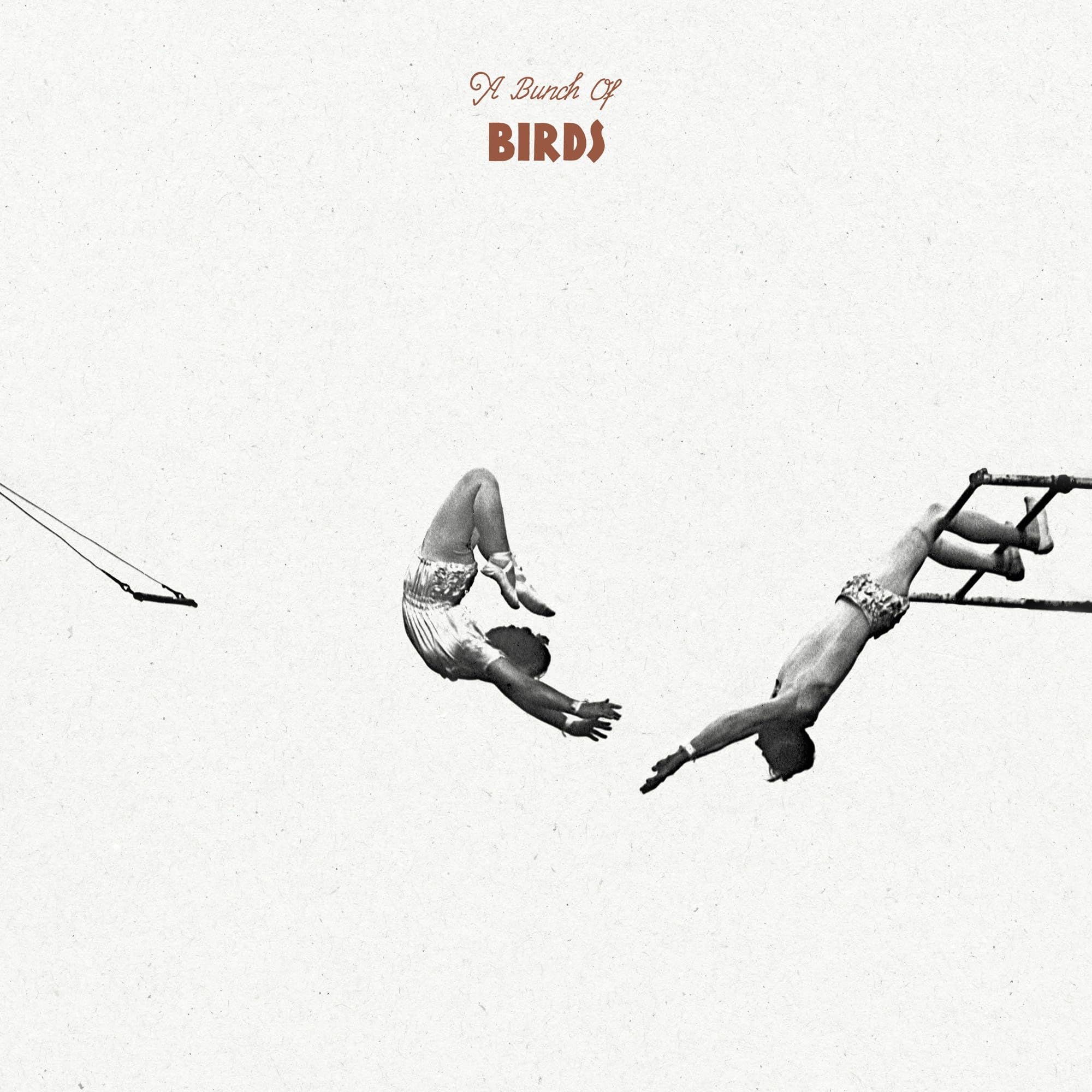 A Bunch of Birds [VINYL]
