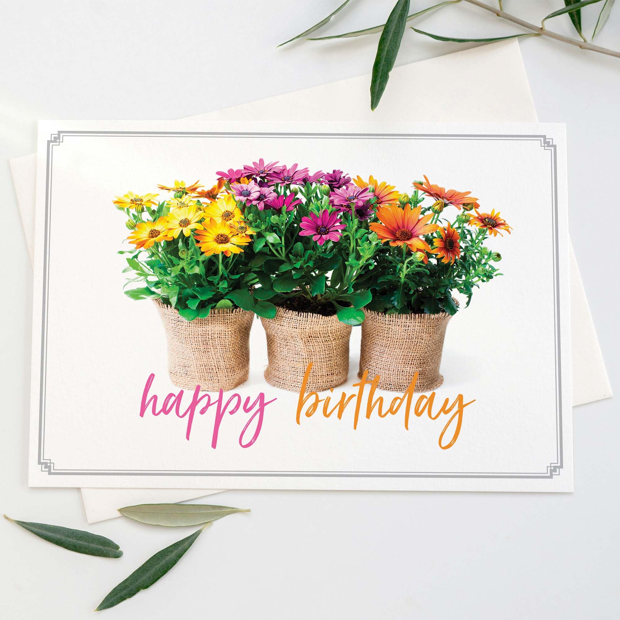 24 biglietti di compleanno con scritta in lingua inglese
