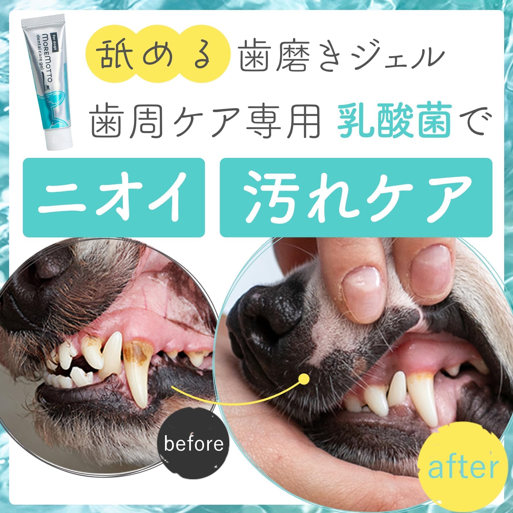 MOREMOTTO【 動物病院 監修 】獣医師 デンタルケアジェル 歯磨きジェル…