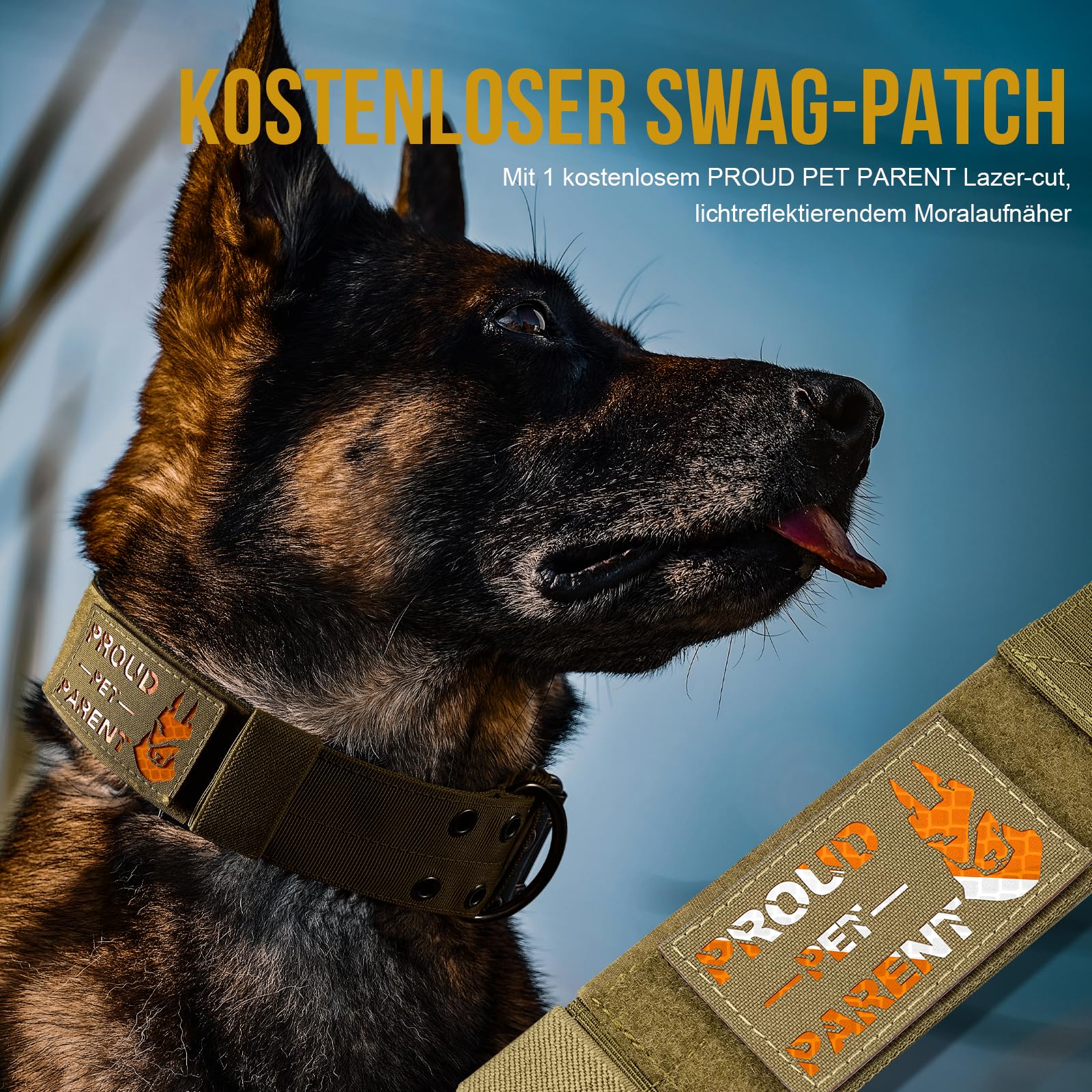 OneTigris Collier pour Chien de 5 cm de Large avec Poignée et Patch pour Grands Chiens - Marron - Taille L