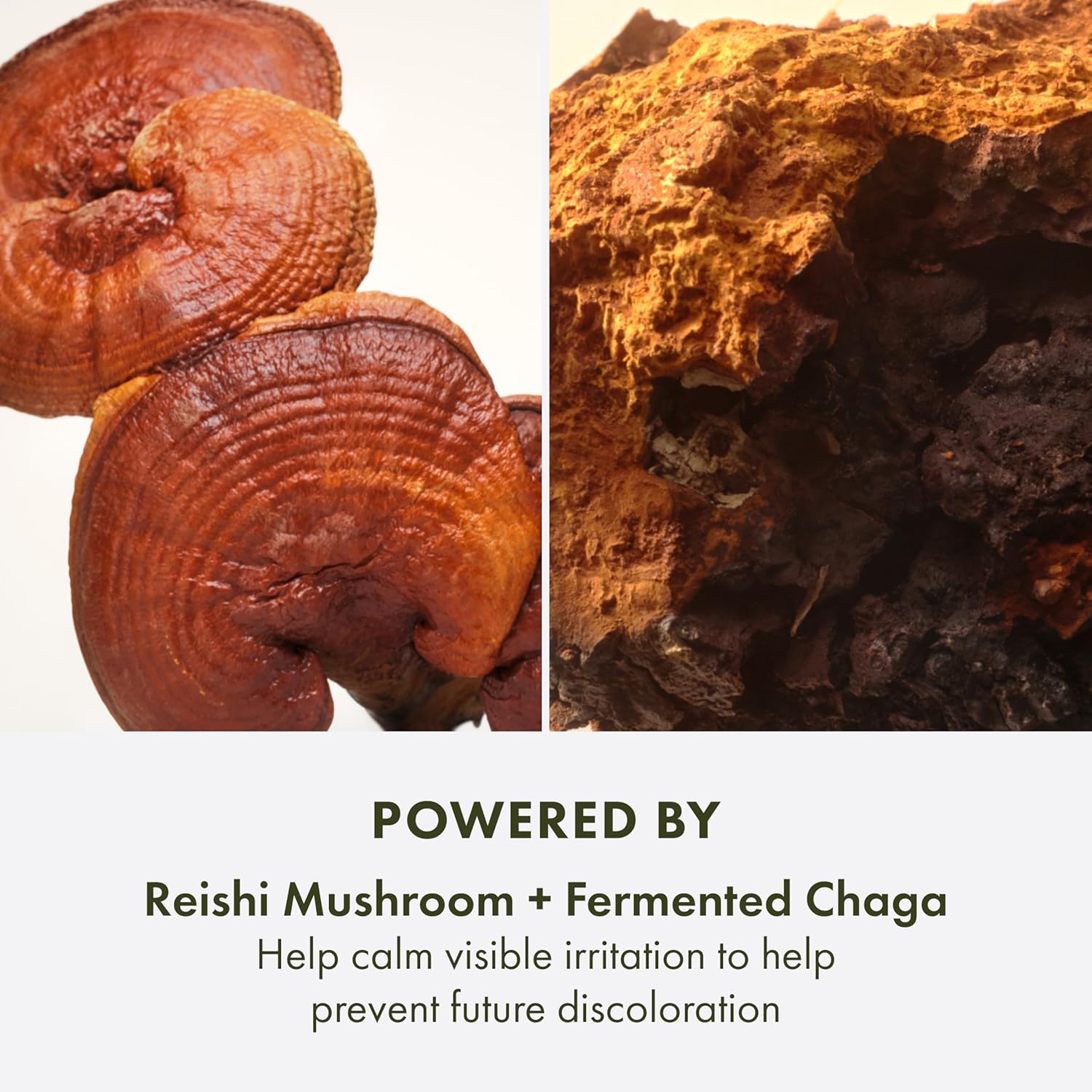 Origins Mega-Mushroom Dark Spot Serum | Reduces Visible Hyperpigmentation & Post-Acne Marks | With Vitamin C & Reishi Mushroom, 1 Fl Oz - Image 5