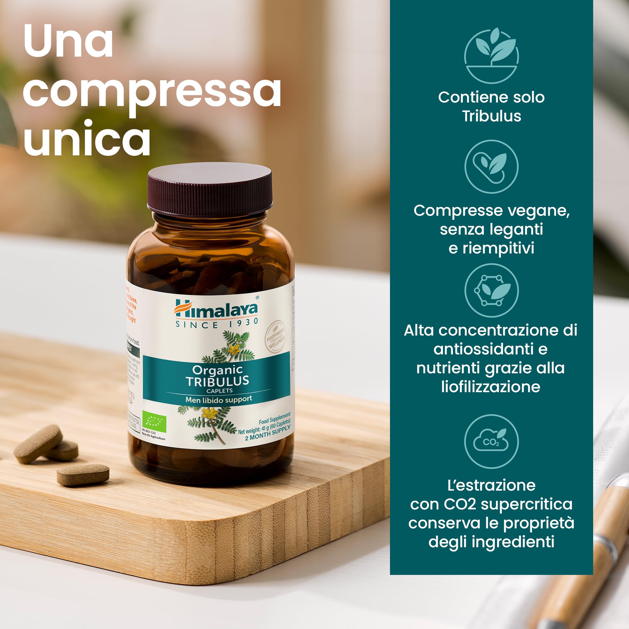 Himalaya Tribulus organico (Gokshura) per la salute maschile, libido, supporto urinario, resistenza, energia, 688 mg, fornitura per 2 mesi, 60 capsule