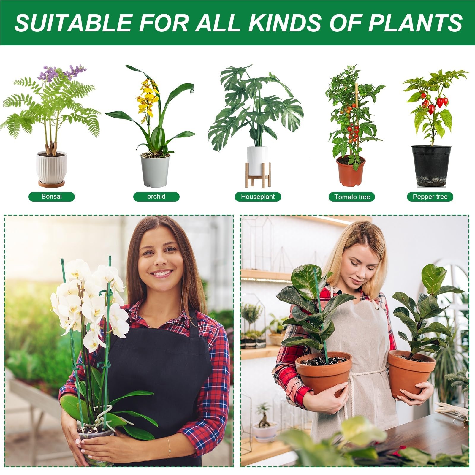 Tuteur Plante Lot de 30 Tuteurs réglables et multifonctionnels for Plantes d'intérieur, orchidées, pivoines Autres