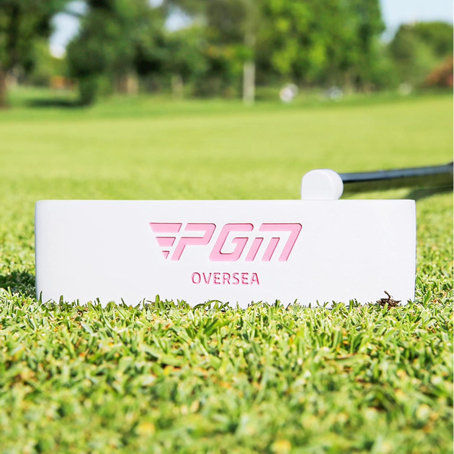 PGM Oversea Golf Putter - Putters for Women Right Handed & Left Handed - Blade Putter for Straighter Putts