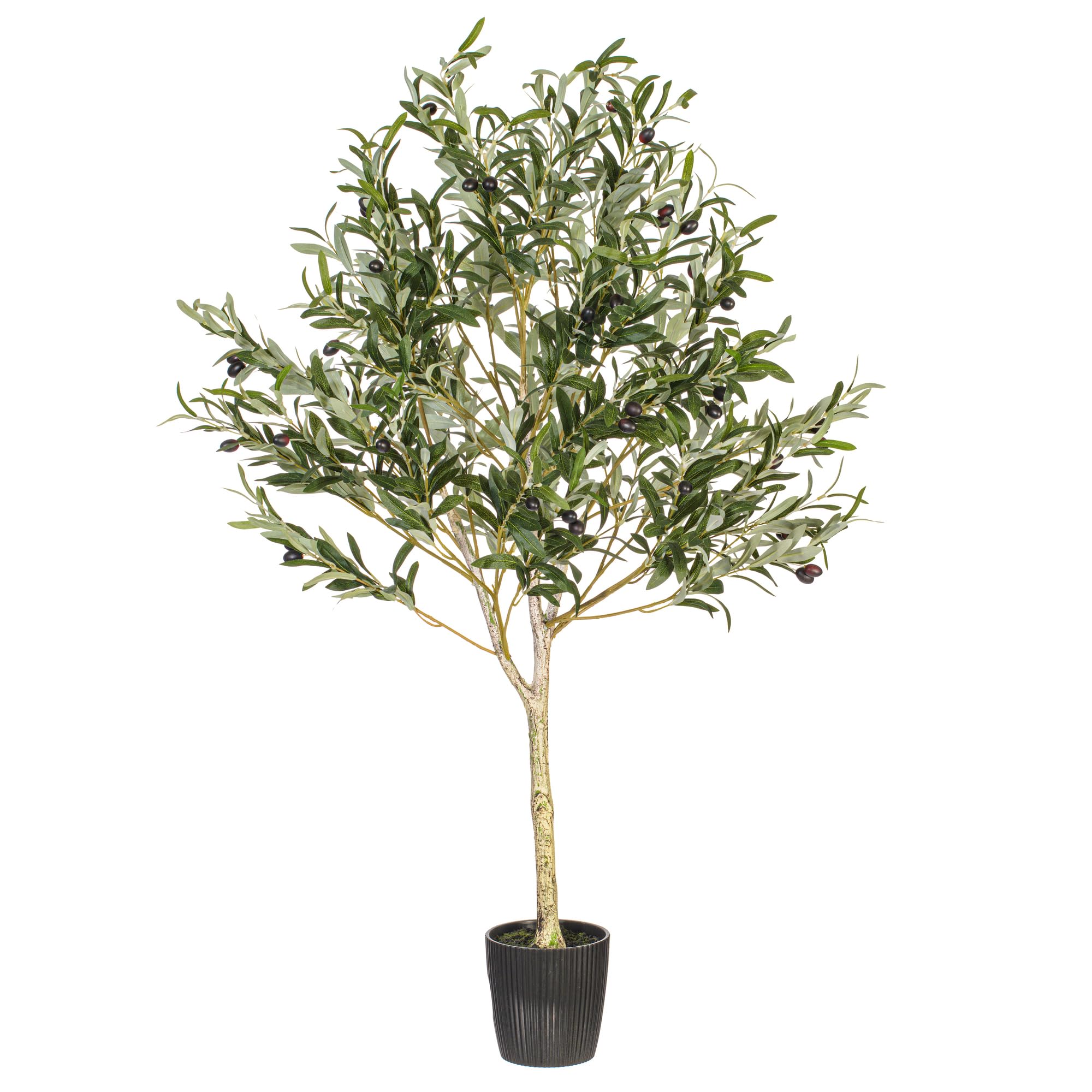 Amazon.com: Vickerman 4' Green Potted Olive Tree - Artificial