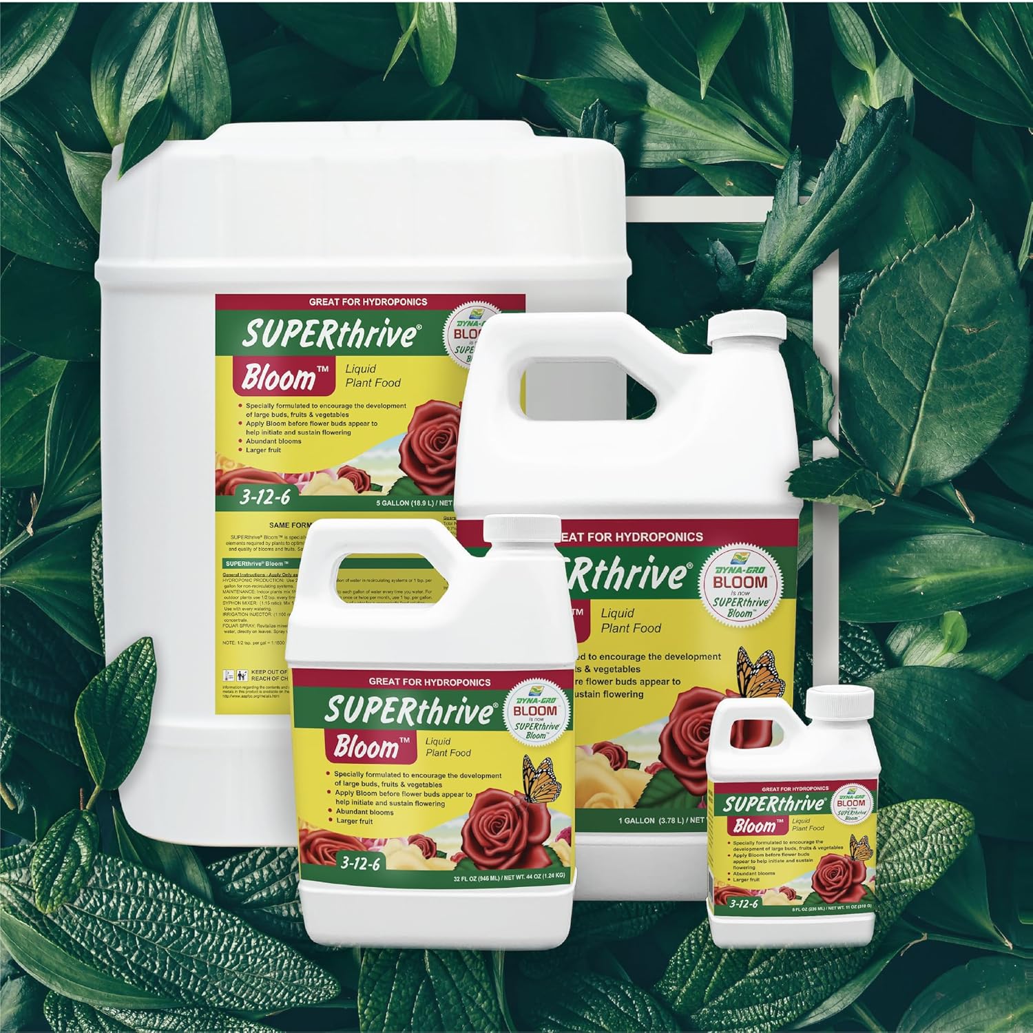 Dyna-Gro Bloom BLM-032 3-12-6 Plant Food, 1-Quart