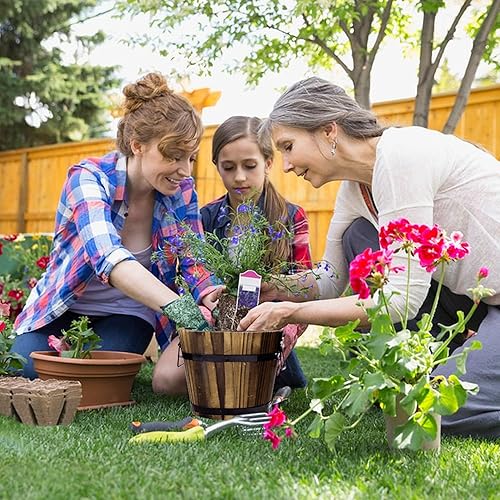 Miniatura 6 de Adnee Paquete de 4 macetas de madera para whisky, 4 tamaños, juego de macetas de jardín de barril de madera  macetas rústicas para plantas de