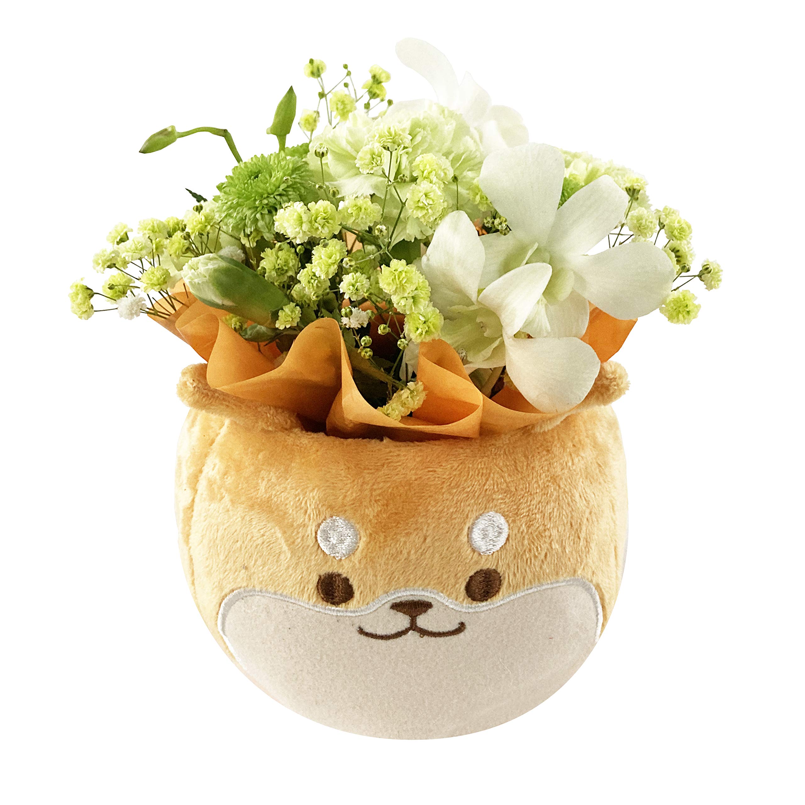 Amazon｜花のギフト社 柴犬アレンジ 誕生日 プレゼント お祝