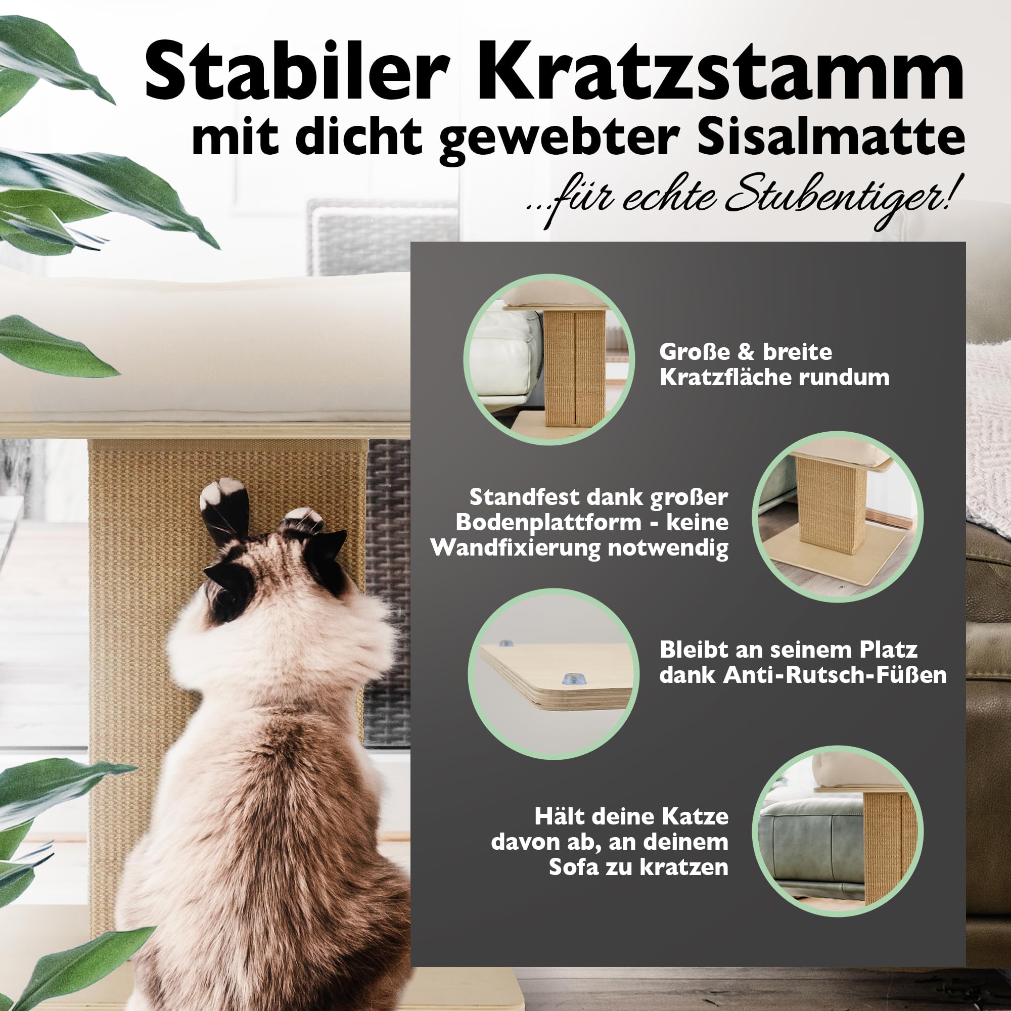 Nemmy Premium Kratzbaum klein aus Holz mit waschbarem XL Katzenbett, Beige | Geruchsneutral. Stabile Anti-Rutsch-Füße. Sisalmatte statt Seile. Für Schlafzimmer & Büro. Ersatzteile erhältlich.