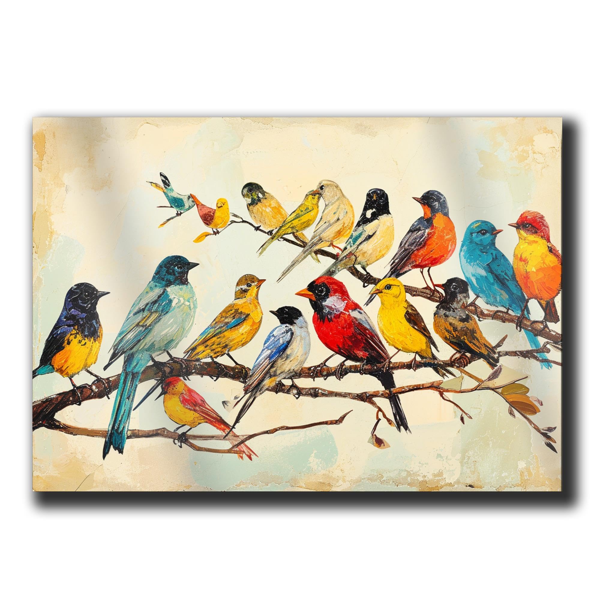 アート・デザイン・音楽 CLASSIC NATURAL HISTORY PRINTS BIRDS Amazon.com: Vintage Bird Art Prints (Set of 6) - Unframed