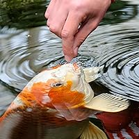 Vista 4 de TetraPond Koi Vibrance, Palitos Suaves, Alimento Flotante para Estanque, 16.5 Libras