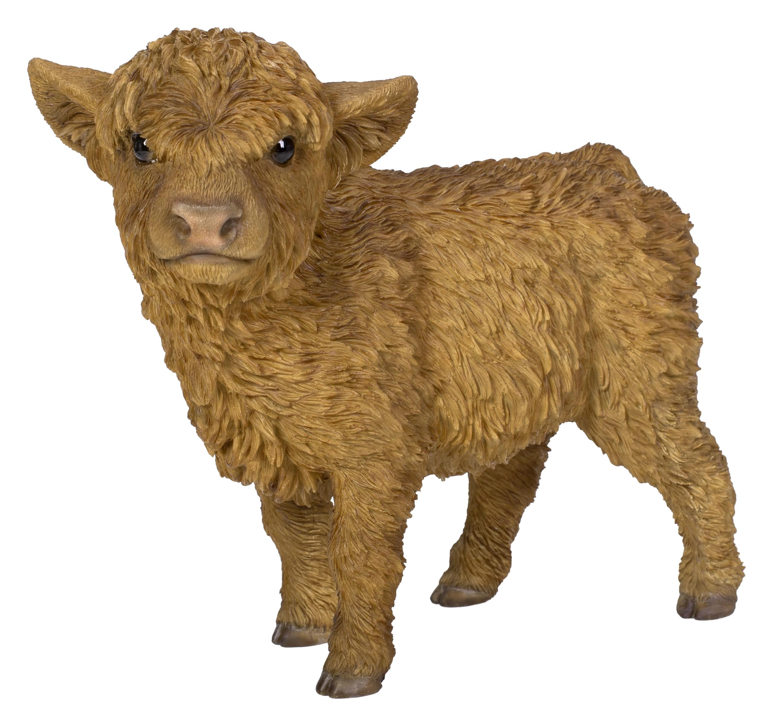 Vivid Arts - Highland Calf - XRL-HLCF-D
