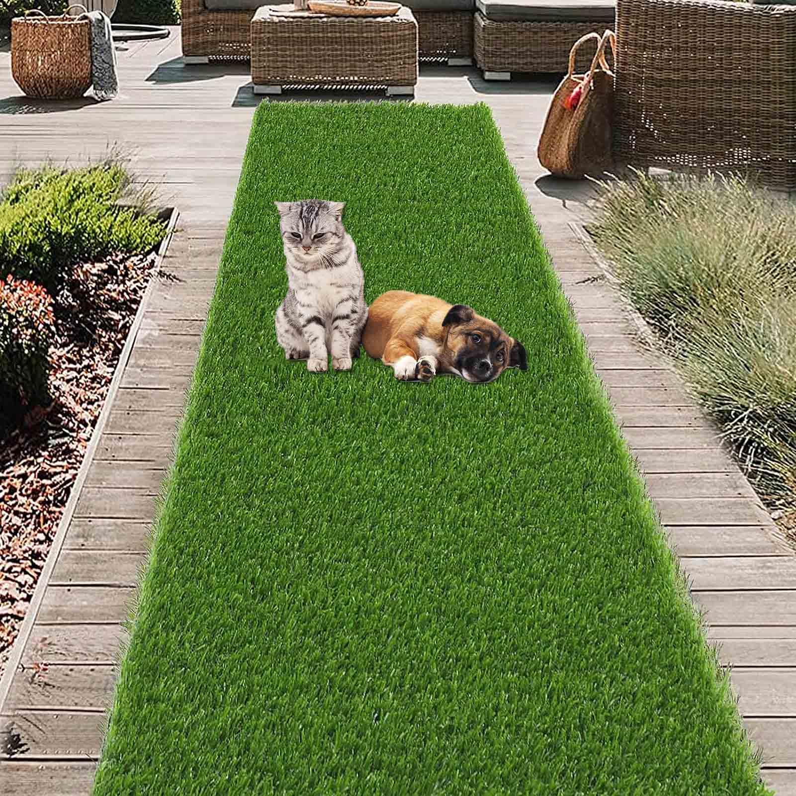 Amazon.com: 20mm Artificial Grass Natural and Realistic Looking