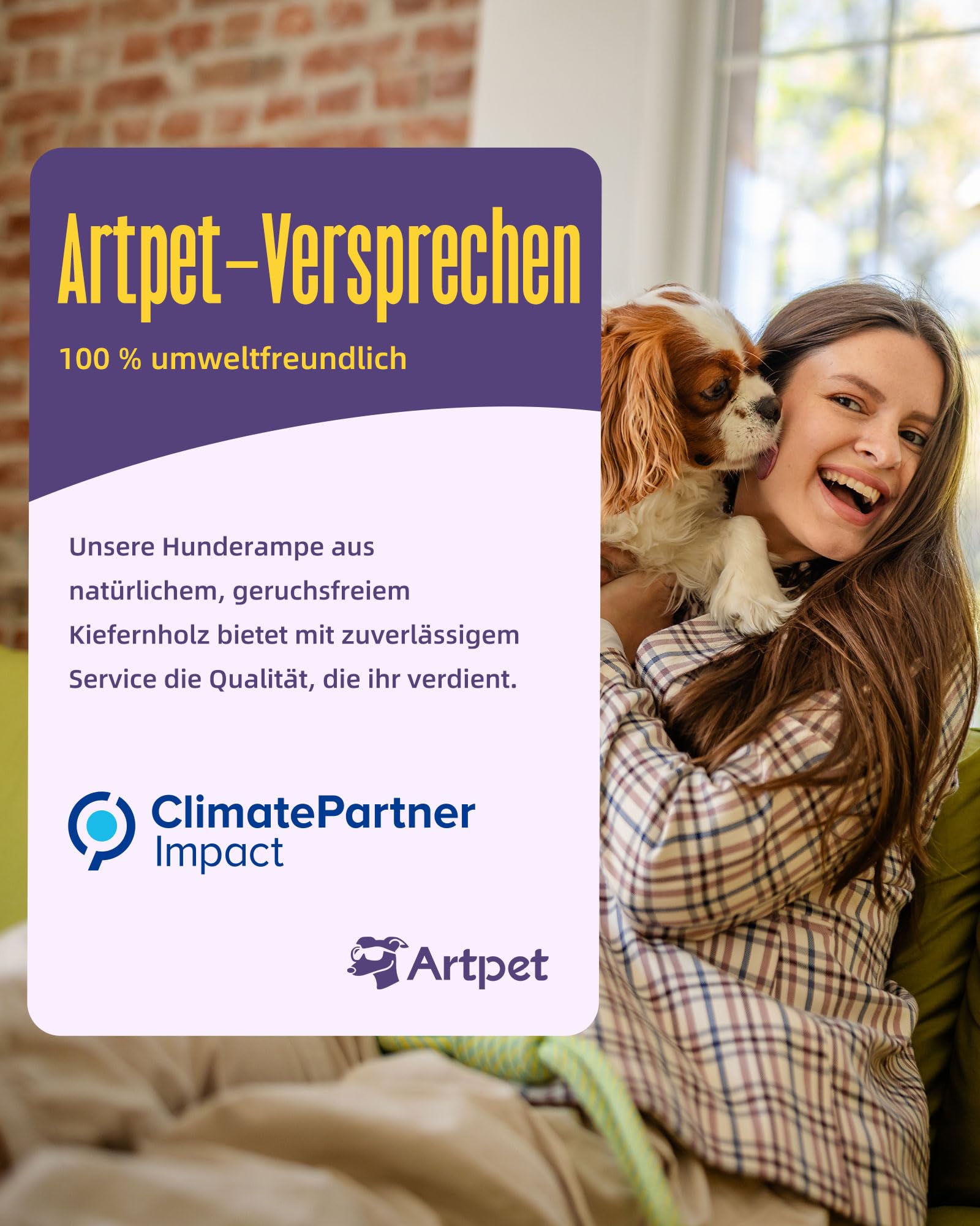 Hunderampe für Sofa Bett Klappbar Rampe Klappbar für kleine Hunde Katzen Einstellbar 45 cm, bis zu 20kg