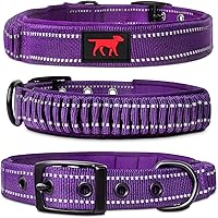 Vista 12 de Tuff Pupper Collar de perro resistente con asa Collar de nailon balístico resistente Collar de perro reflectante acolchado con herrajes de acero