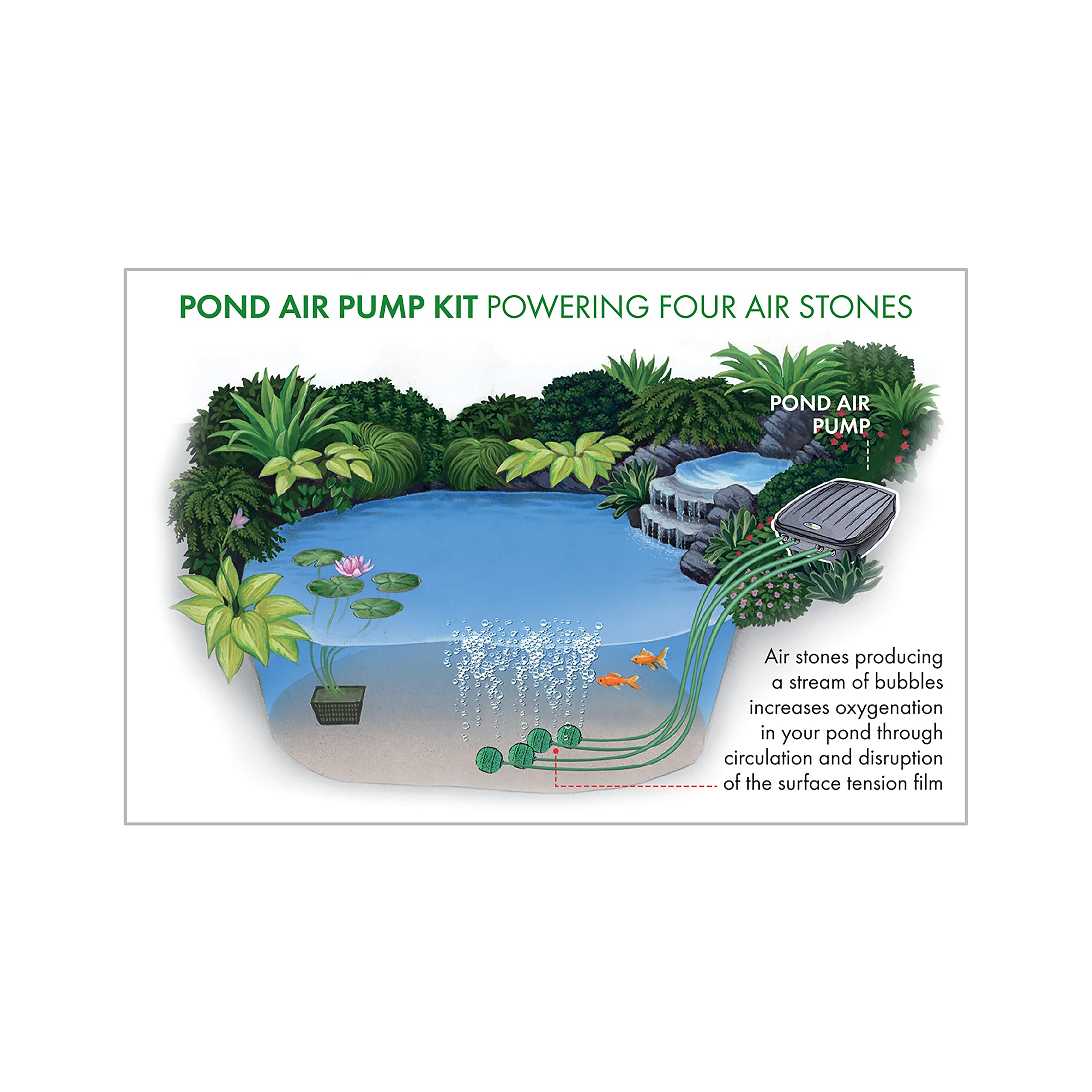 Pennington Aquagarden Kit de Bomba de Aire para Estanque, 4 Salidas, caudal de 169 galones/Hora, Negro, automático, eléctrico con Cable, 4 Piedras de Aire y 4 líneas de Aire, Adecuado para estanques