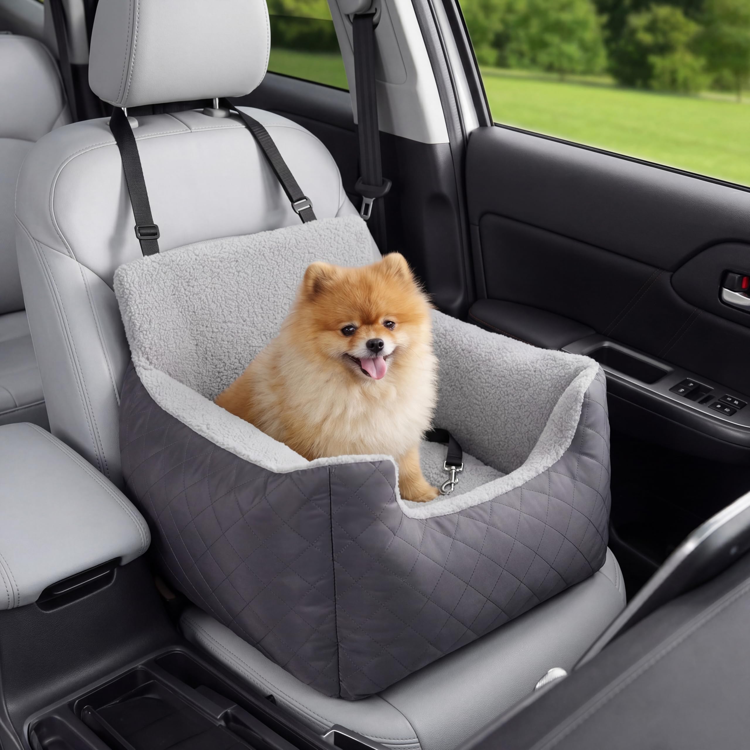 Lesure Small Dog Car Seat - Waterproof Pet Booster Seat, Car Dog Seat For Medium Dog With Clip-On Leash For Pet Travel Carrier Bed, 54.5x49.5x38cm, Dark Grey