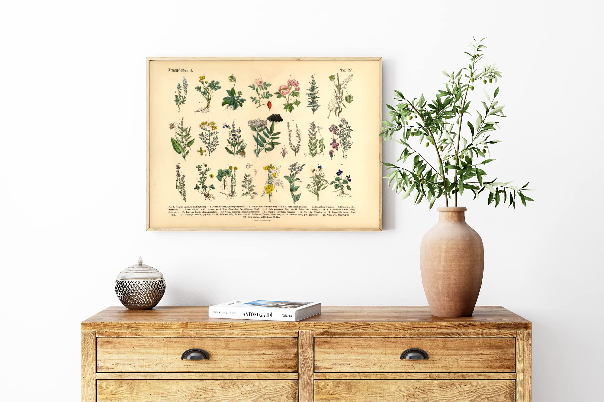 Erbe E Piante Officinali: I Rimedi Naturali Per Tutti Gli Organi - Guida Completa - Foto 8