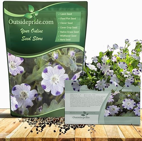 Outsidepride Nemophila Five Spot - Flores silvestres ideales para cestas colgantes, camas y bordes, 14 libra Outsidepride Nemophila Five Spot - Flores silvestres ideales para cestas colgantes, camas y bordes, 14 libra
