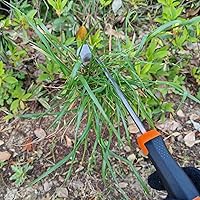 Vista 4 de XIAONAN Herramienta de desmalezas, herramienta de extracción de malezas de jardín con mango, herramienta manual de desbrozadora manual de 4 dientes