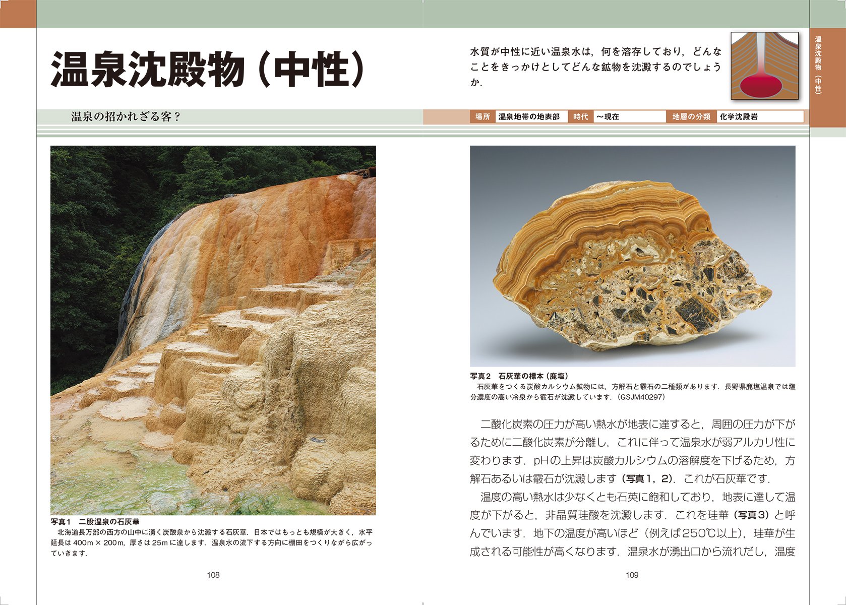 増補改訂版 地層の見方がわかるフィールド図鑑 岩石 地層 地形から地球の成り立ちや活動を知る 青木 正博 目代 邦康 本 通販 Amazon