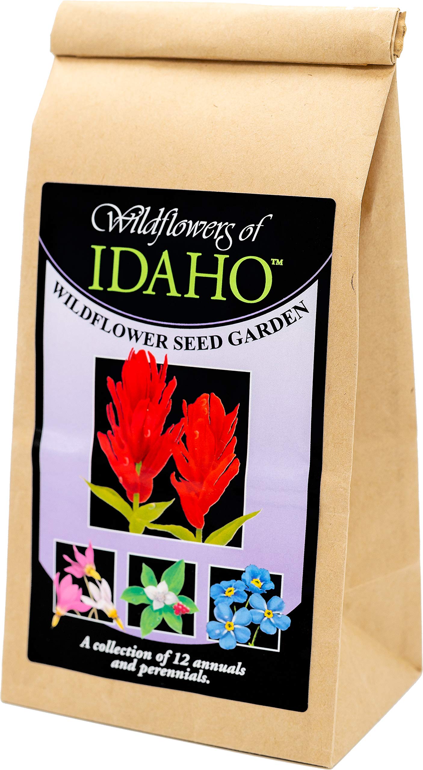 Buy Idaho Wildflower Seed Mix A Beautiful Collection of Twelve