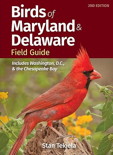 Birds of Maryland &amp; Delaware Field Guide: Includes Washington, D.C., &amp; the Chesapeake Bay (Bird Identification Guides)