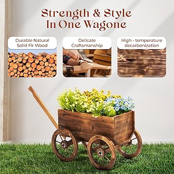 81jBOi21BTL._AC_UF350,