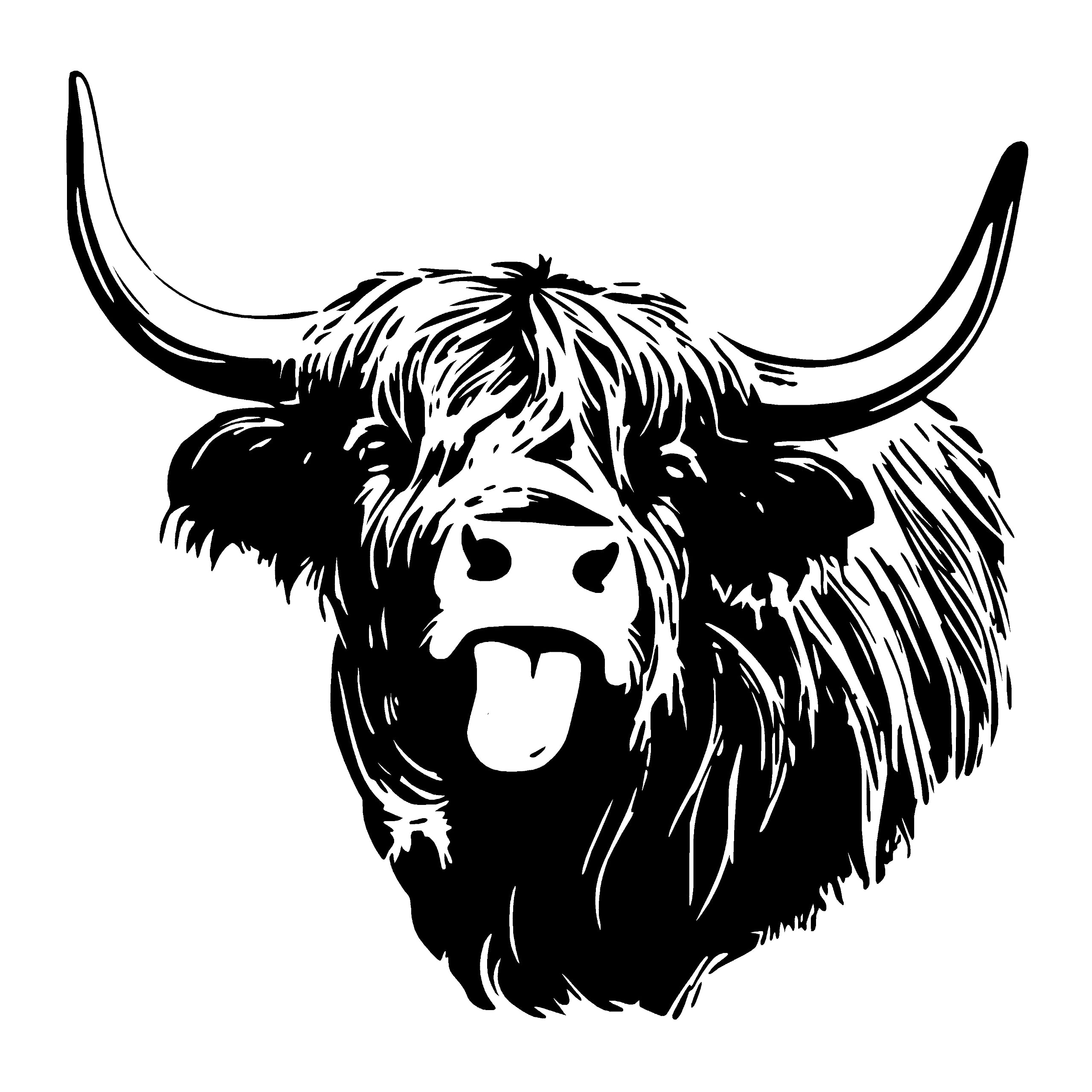 Seyta Adhesivo Y Adhesivo Para Autocaravana, Calcoanías De Vinilo Con - Foto 5