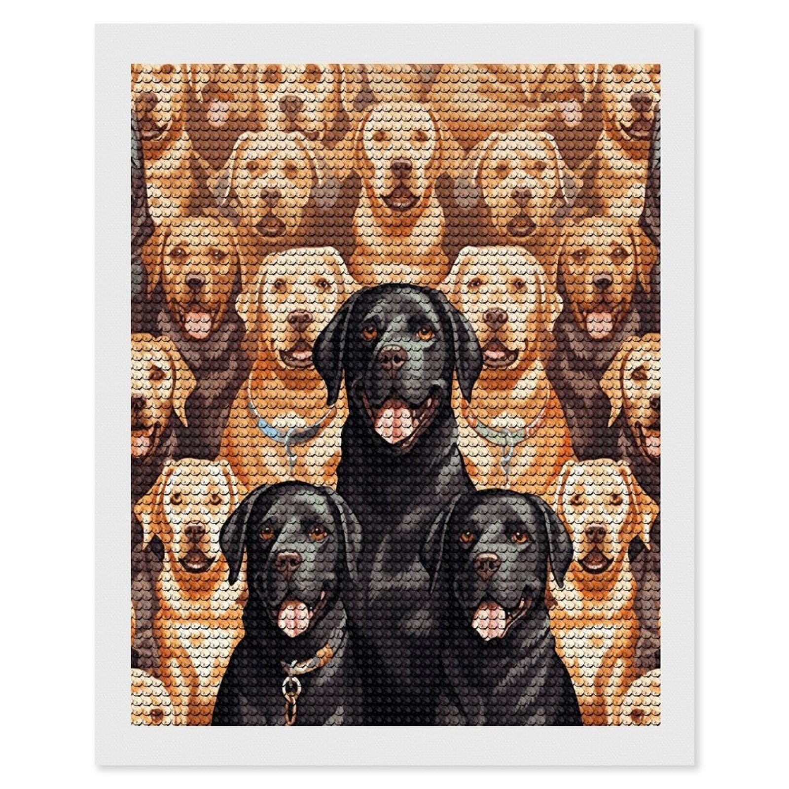 VstaDank Labrador Retriever Dogs Diamond Painting Kits Exquisite DIY Full Round Drill Diamond Dots Painting for Adults Beginner Diamond Photo Paint with Diamond Picture Art Wall Decor 16"x20"