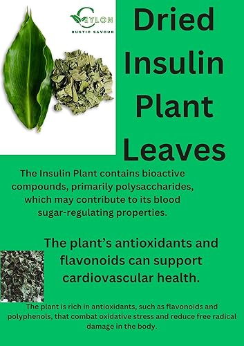 Miniatura 4 de Hojas secas de insulina de 3 onzas, planta de insulina fresca y pura cultivada naturalmente, hojas cortadas Costus Igneus, 3 onzas