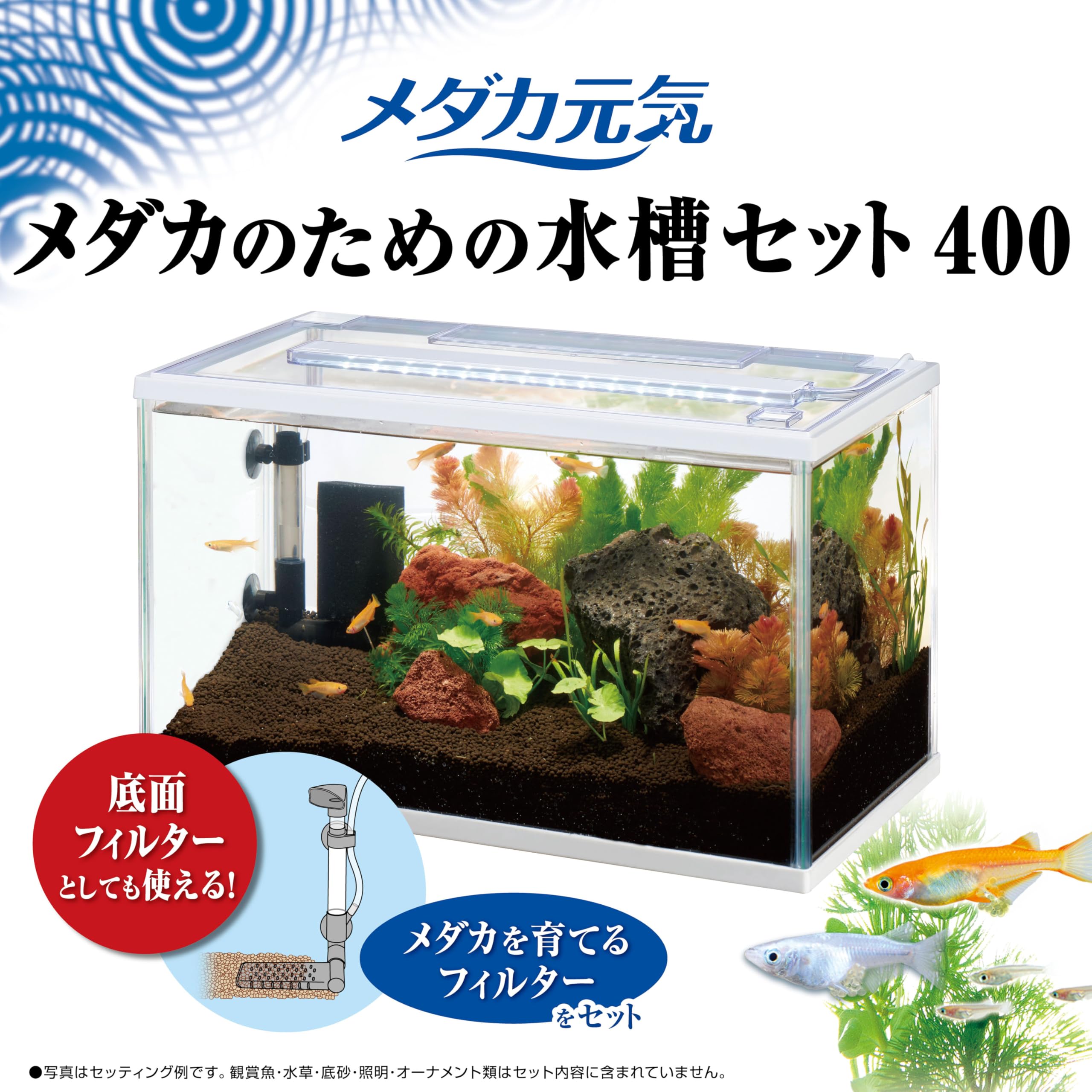 水槽40cm セット 40cm水槽+水作 水心セット | チャーム