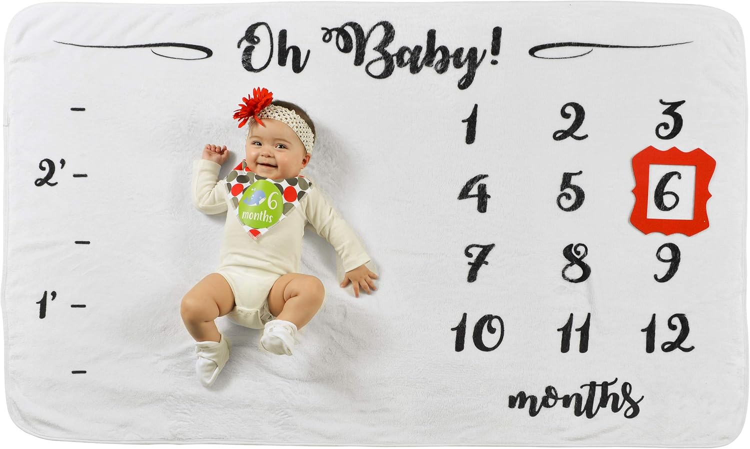 Deluxe Baby Milestone Blanket Gift Set, Premium Picture Accessories, Gorgeous, Plush Blanket Set