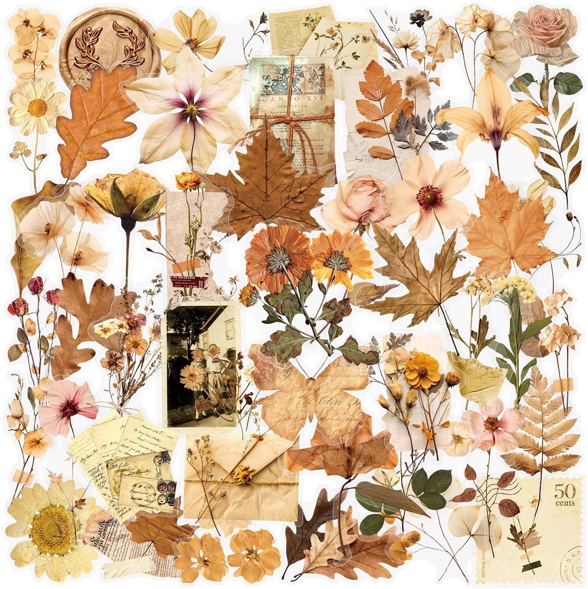50 PCS Flower Stickers Pack, Transparent Flower Stickers Waterproof Floral PET Decals for Water Bottles Laptop Scrapbooking Journaling Guitar Suitcase Phone Gifts for Kids Teens