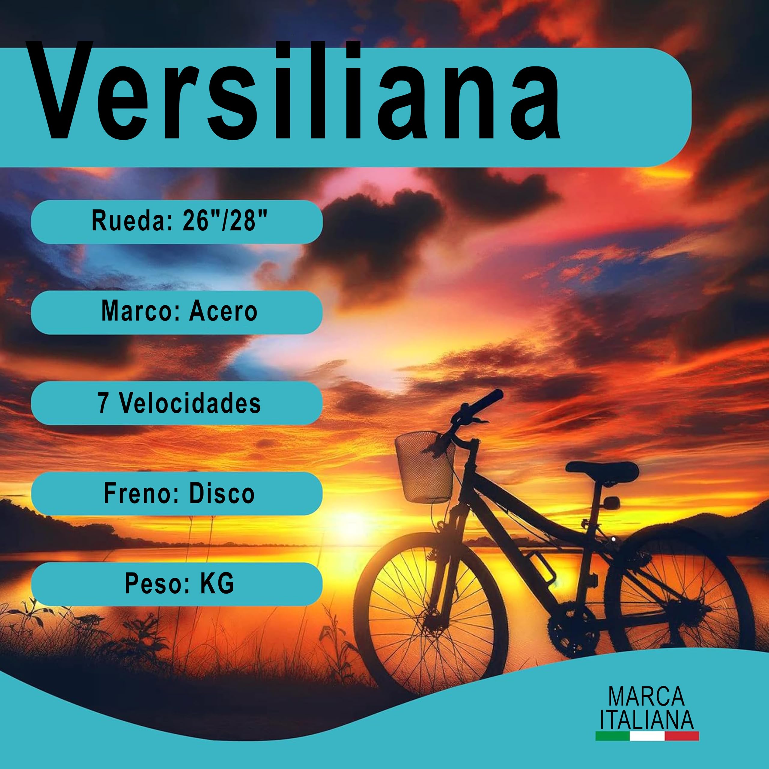 Bicicletas Bicicletas de Ciudad Hombre y Mujer