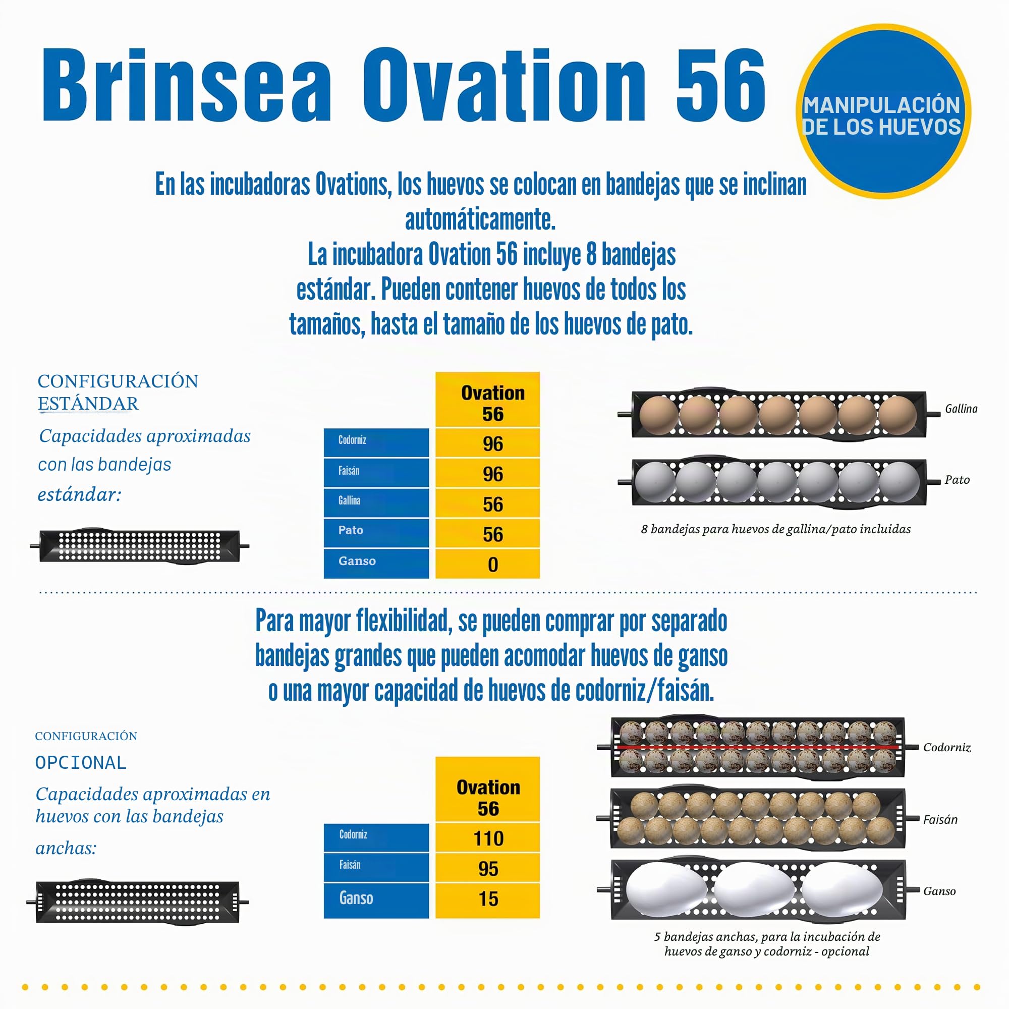 Incubadora Brinsea Ovation 56 EX – Incubadora para 56 huevos – Fabricada en Gran Bretaña, con volteo automático de los huevos y control integral de humedad – Garantía de 3 años.
