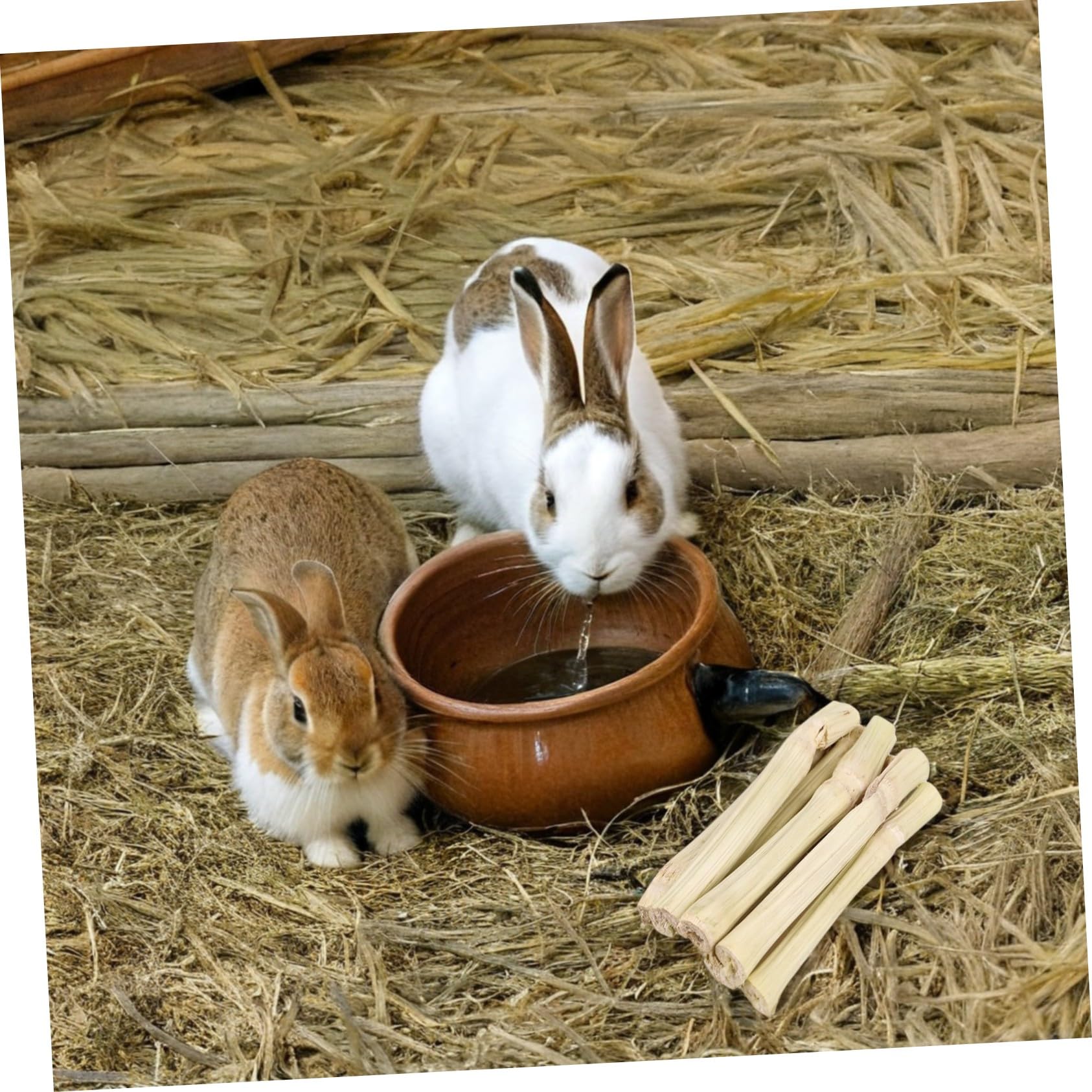 BESTonZON Bastoncini Masticabili in Bamboo Naturale per Conigli Criceti Cincillà Porcellini d Giocattolo Dentale Antistress per Animali Snack per Denti Sani e Comportamento