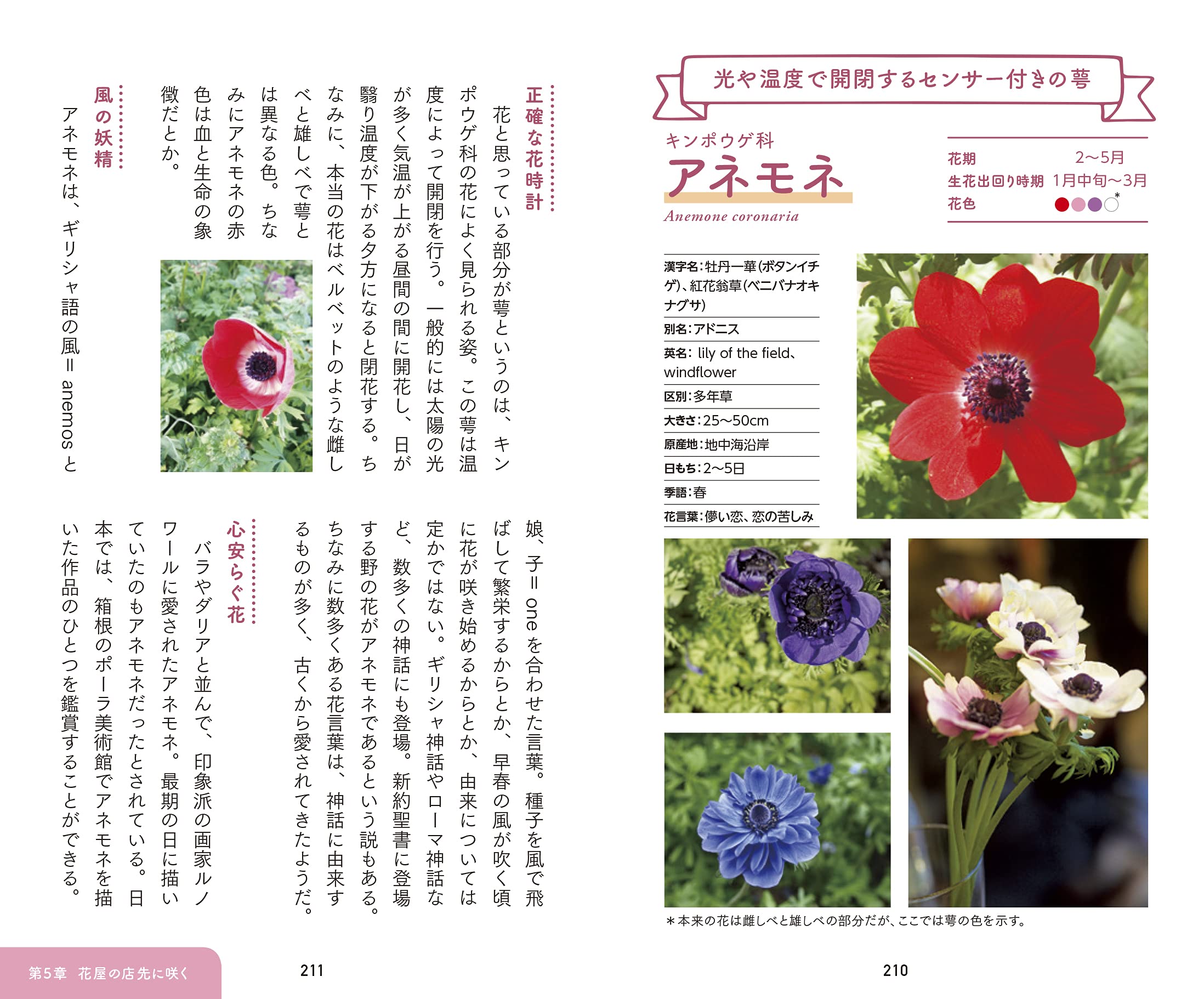 散歩が楽しくなる花の手帳 稲垣栄洋 本 通販 Amazon
