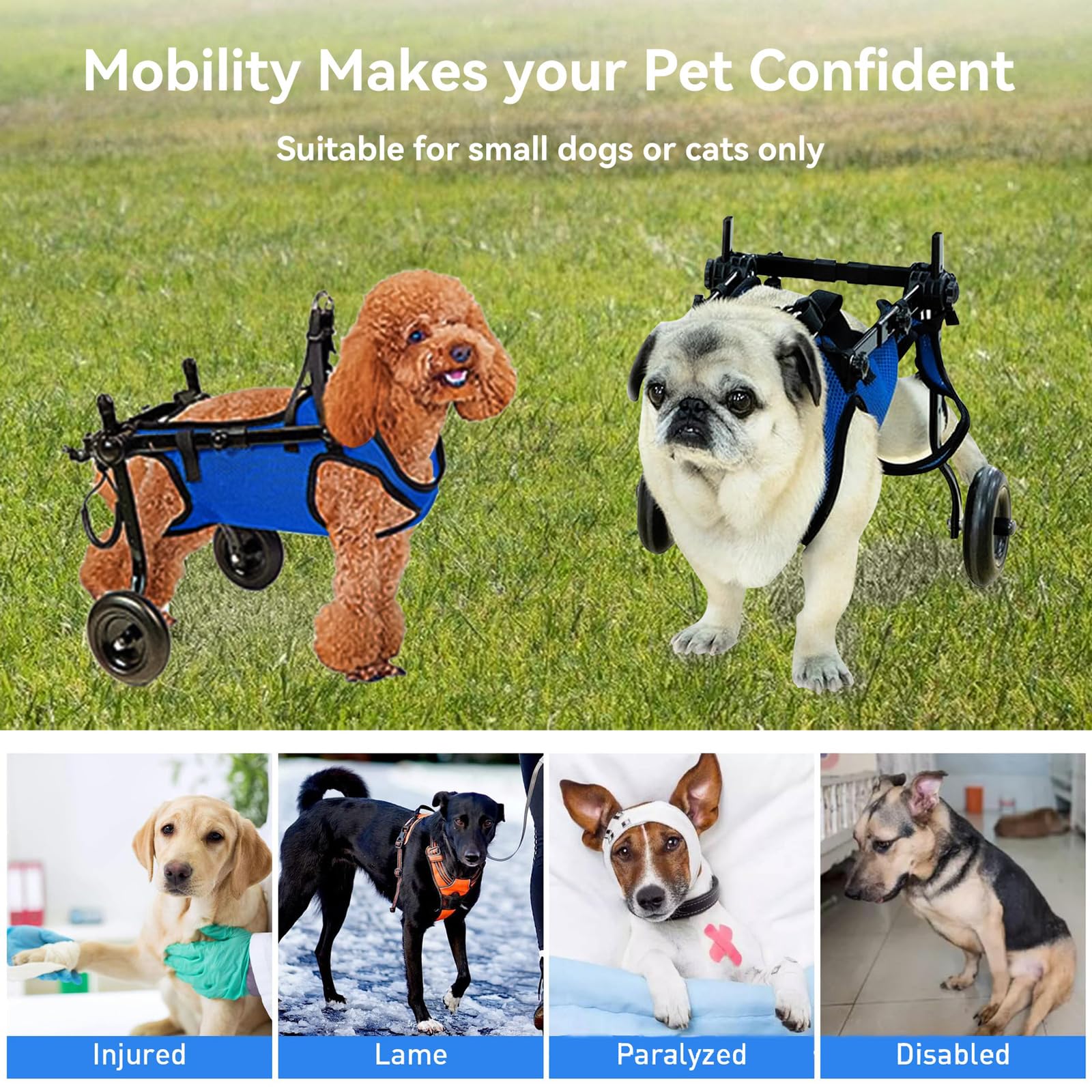 Carrello Cani Disabili Sedia a Rotelle per Cani con Supporto Completo A 2 Ruote, per Tutore per Gambe, Sedia A Rotelle per Esercizi per Animali DisabiliBlue,XS