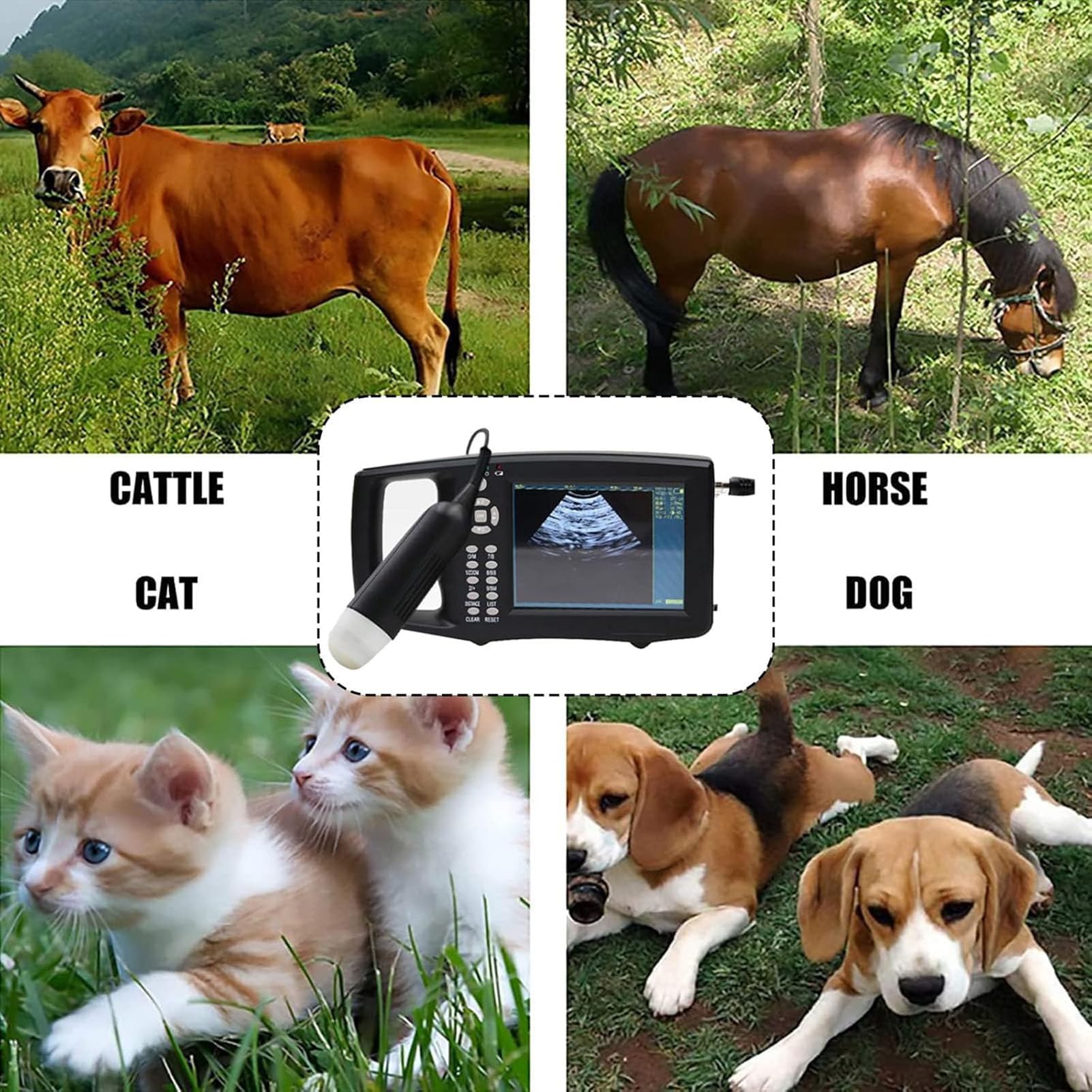 Diagnostica Veterinaria della Gravidanza, Ecografo Portatile HD, per L'imaging di Scrofe, Pecore, Cani e Gatti in Gravidanza, con Sonda Meccanica