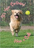 Vista 6 de Glory To Dog Te conseguí un pastel de cumpleaños y estaba delicioso Feliz cumpleaños de La Tarjeta de cumpleaños de perro con sobre de felicitación